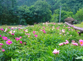 南会津の風景